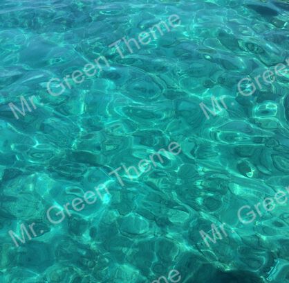 Seam-Carving Algorithm Project