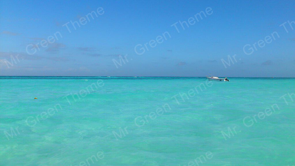 Portfolio Management Website